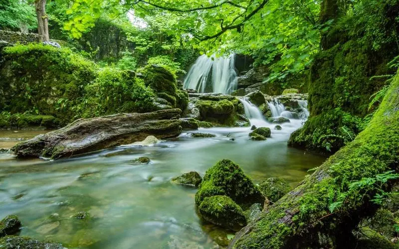 高端高效绿色